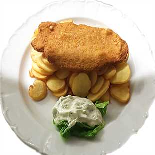SCHNITZEL