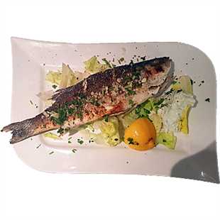 WOLFSBARSCH - LAVRAKI